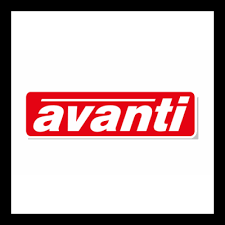 finance manager
