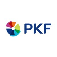 senior it consultant
