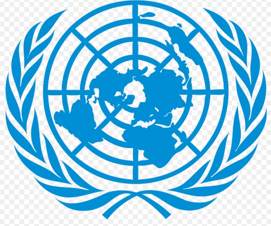 Programme Management Assistant programme management assistant