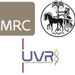 7 jobs at mrc/uvri and lshtm uganda research unit