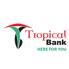 Senior IT Security & Governance Officer senior it security & governance officer