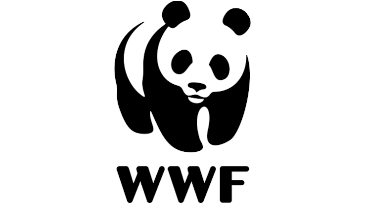 Finance Assistant finance assistant