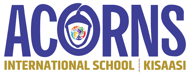 myp & dp geography teacher